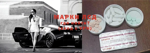 apvp Горняк