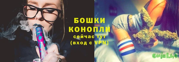 сатива Горнозаводск