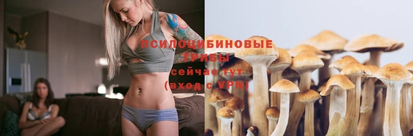 крисы Вязьма