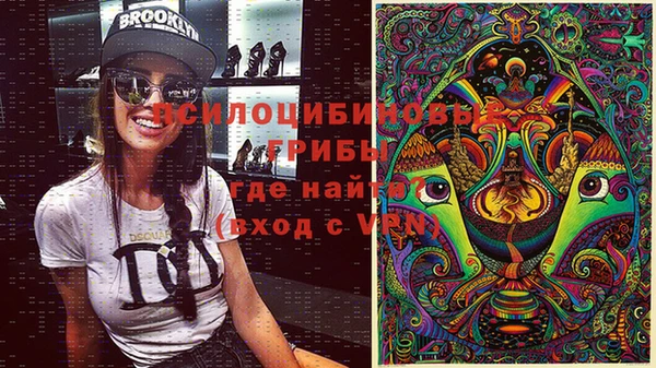 спиды Вязники