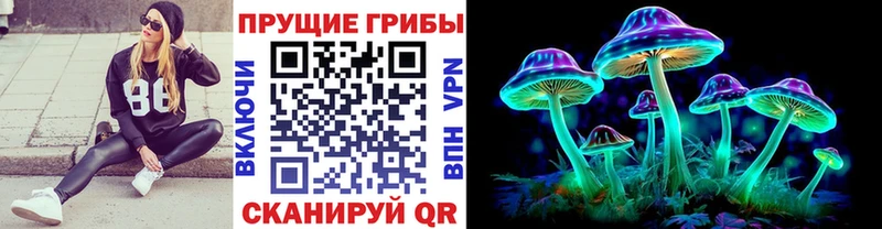 Псилоцибиновые грибы GOLDEN TEACHER blacksprut онион Гусиноозёрск